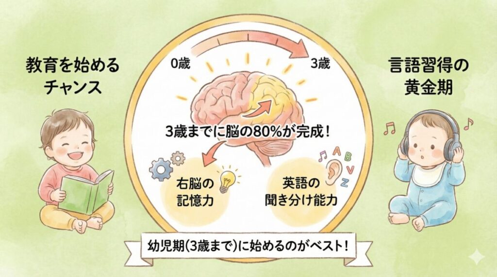 右脳の仕組みの図解